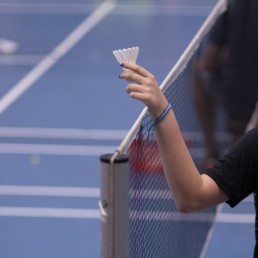 badminton, sports, leisure time